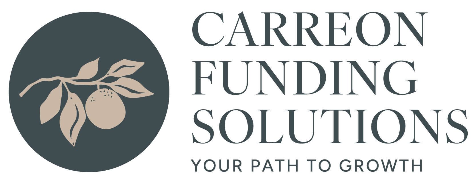 Carreon Funding Solutions